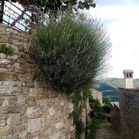 Serafin Guest house